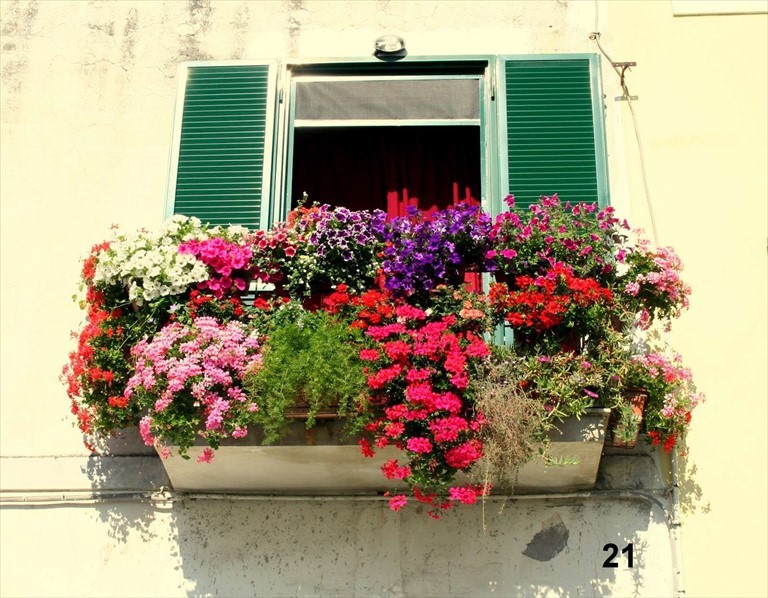 Un "balcone in fiore"