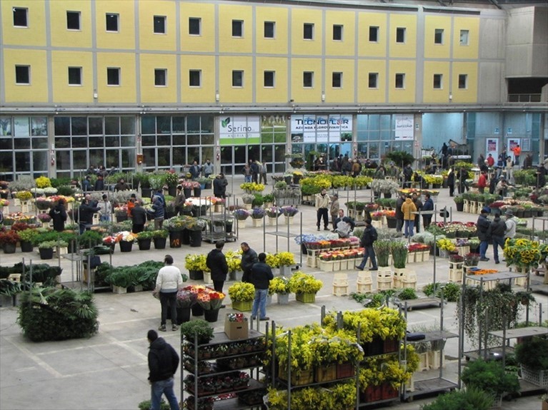 I fiori di Terlizzi sulla rivista della Camera di commercio italiana per il Regno Unito