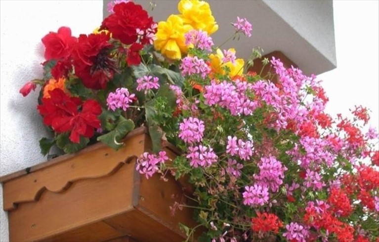 balconi in fiore
