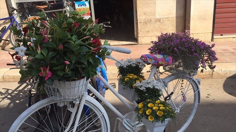 vicoli in fiore