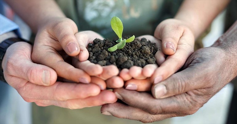 Agricoltura sociale