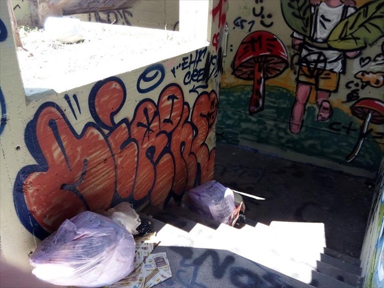 Rifiuti dati alle fiamme e scritte omofobiche