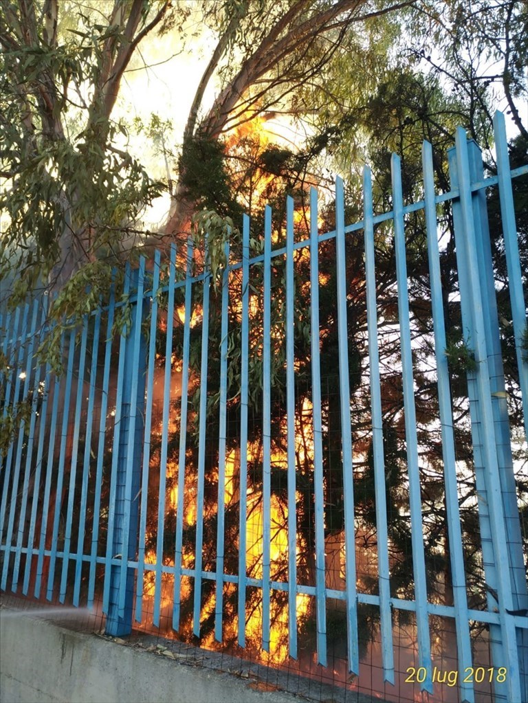 Incendio tra Terlizzi e Sovereto