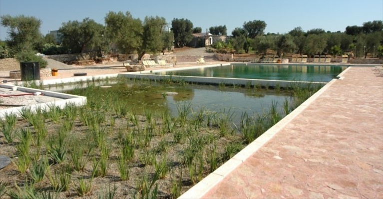 La piscina biologica di Villa Castelli