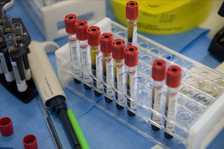 laboratorio