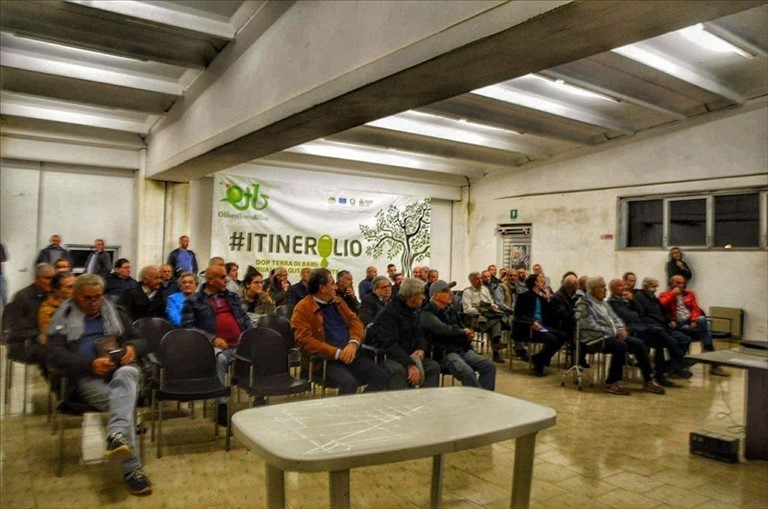 Agricoltura Progresso liquida la campagna olearia 2016-2017 col prezzo più altro degli ultimi anni