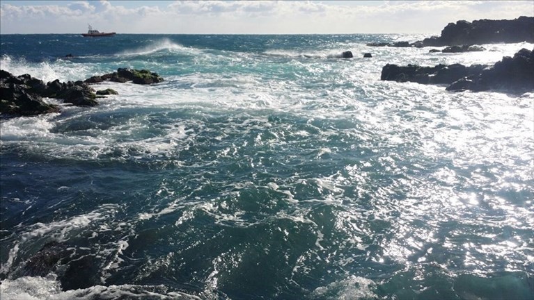 Mare