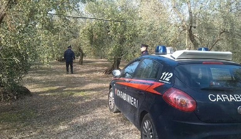 Ladri in campagna