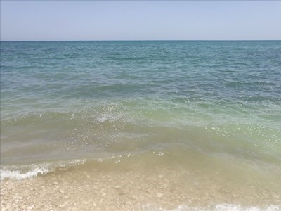 mare