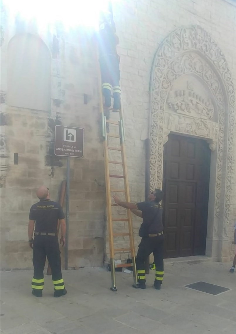 Gatto bloccato in una grondaia della Chiesa del Rosario