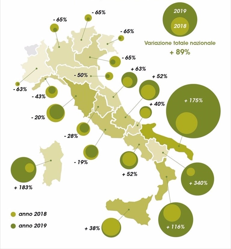 La mappa della produzione olivicola al Sud