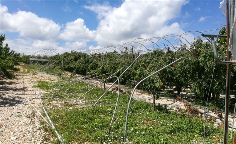 Danni del maltempo in agricoltura