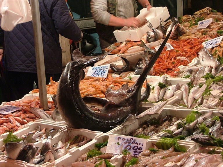 Vaschette di pesce