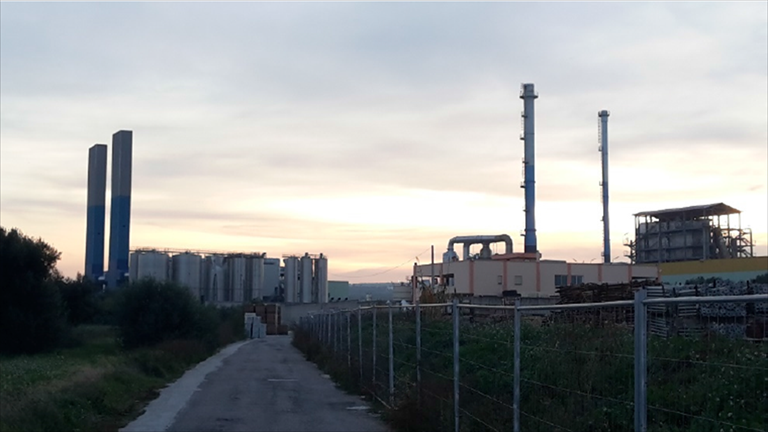 Produzione di Energie Rinnovabili da Biomasse