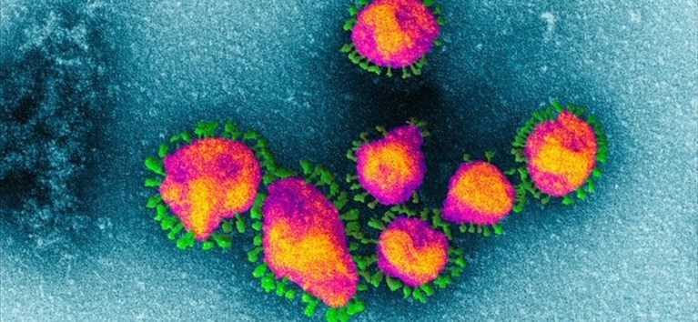 Coronavirus