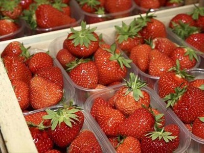 Cestini di fragole