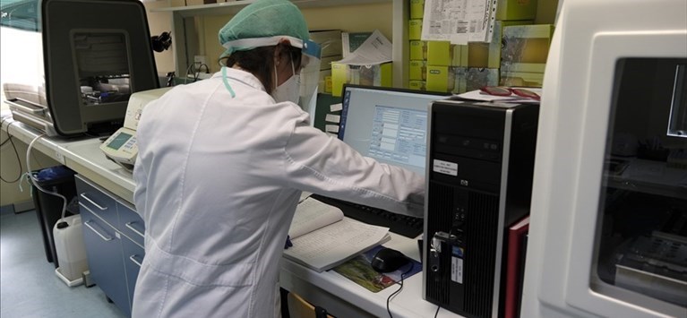 Reparti Coronavirus