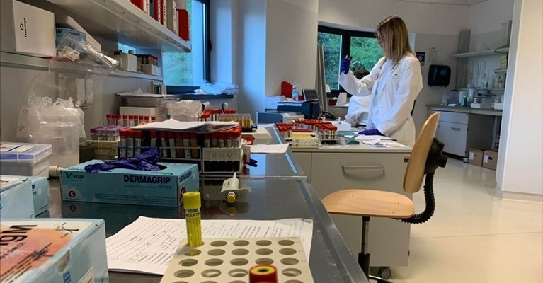 Reparti Coronavirus