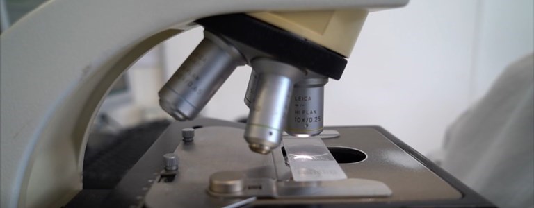 Laboratorio Covid Di Venere - tampone - test coronavirus