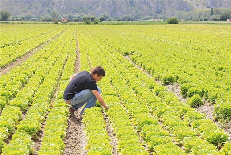 agricoltura giovani