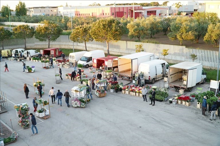 Riapre il Mercato dei Fiori