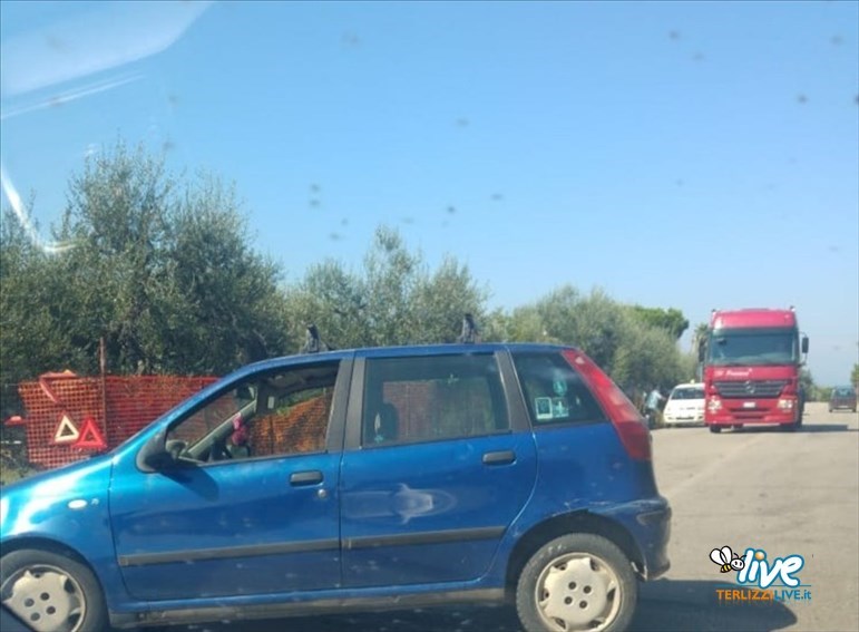 Auto fuori strada sulla Terlizzi-Molfetta