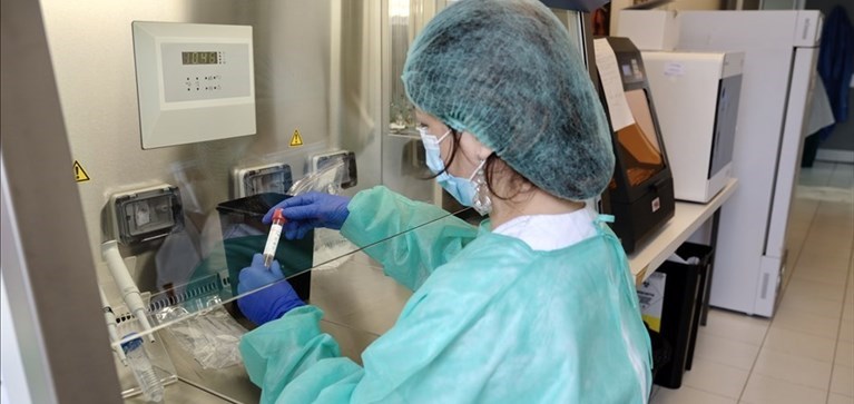 Laboratorio Coronavirus