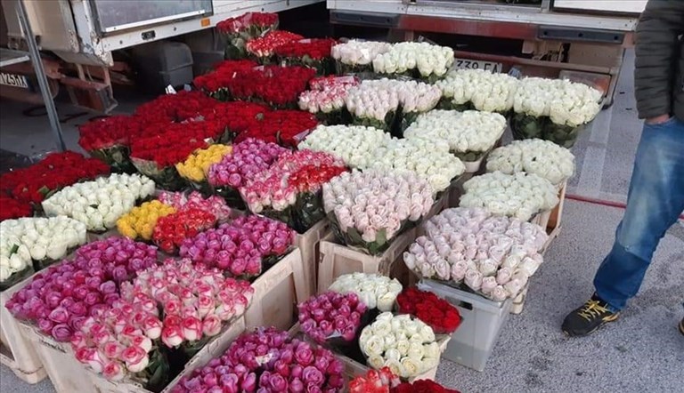 Fiori