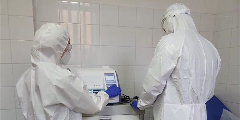 Coronavirus