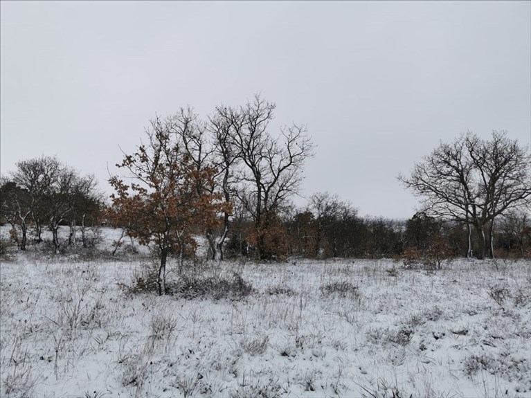 Neve sulla Murgia
