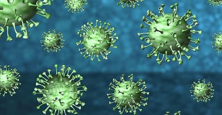 Coronavirus