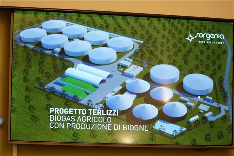 Centrale a biomasse