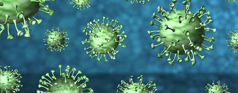 Coronavirus