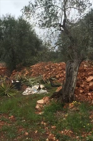 Ampliamento cimitero