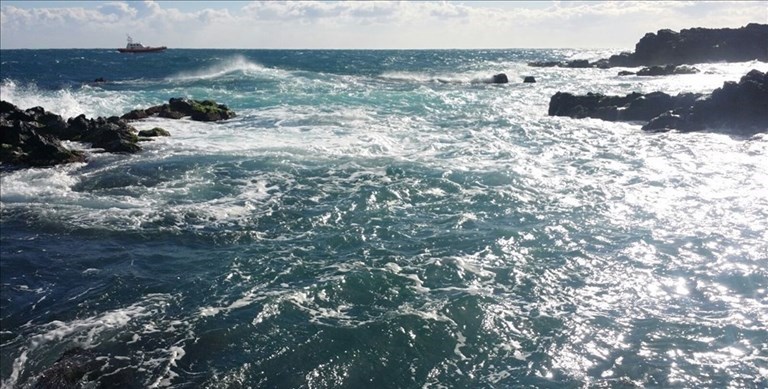 Mare