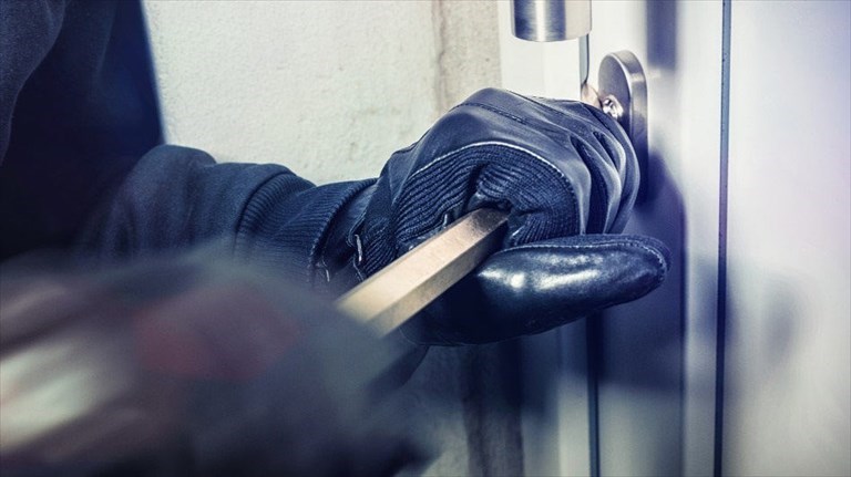 Tentato furto in un’azienda florovivaistica, l’allarme mette in fuga gli intrusi