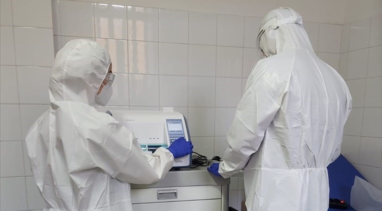 Coronavirus