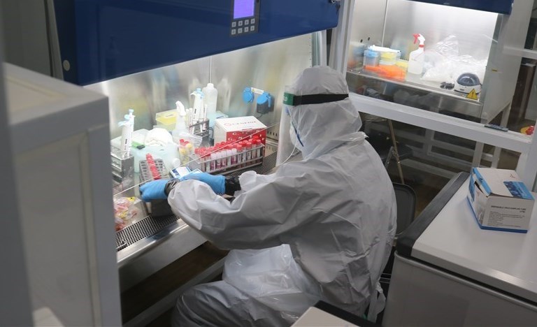 Laboratori Covid