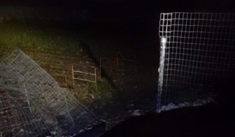 Tentato furto in un'azienda floricola in Contrada Casale