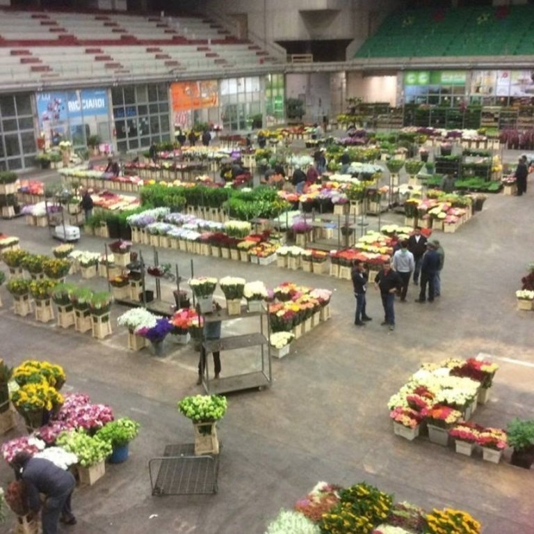 mercato dei fiori
