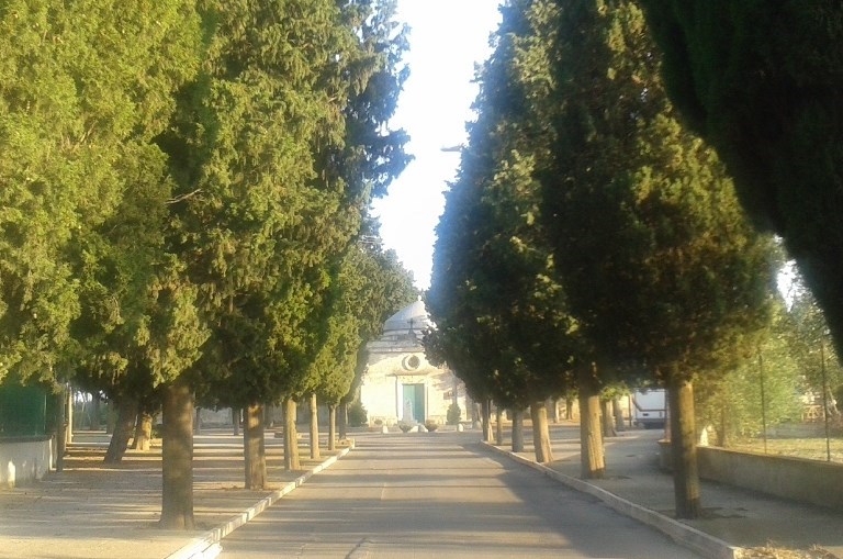 Viale del cimitero di Terlizzi