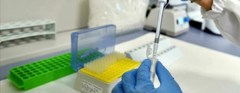 Emergenza Coronavirus