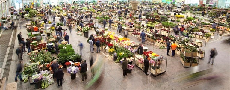 Mercato dei Fiori