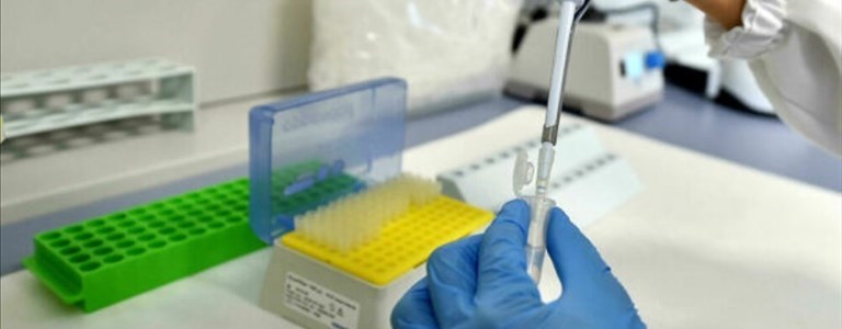 Emergenza Coronavirus