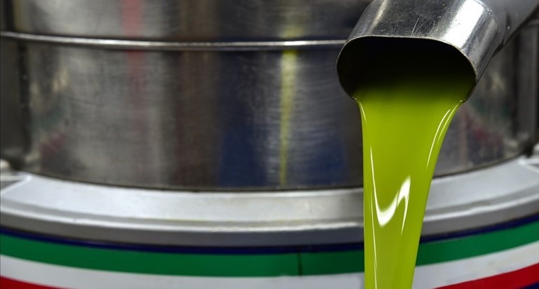 Olio di oliva