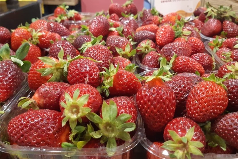 Fragole