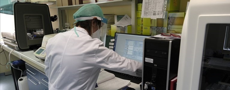 Reparti Coronavirus