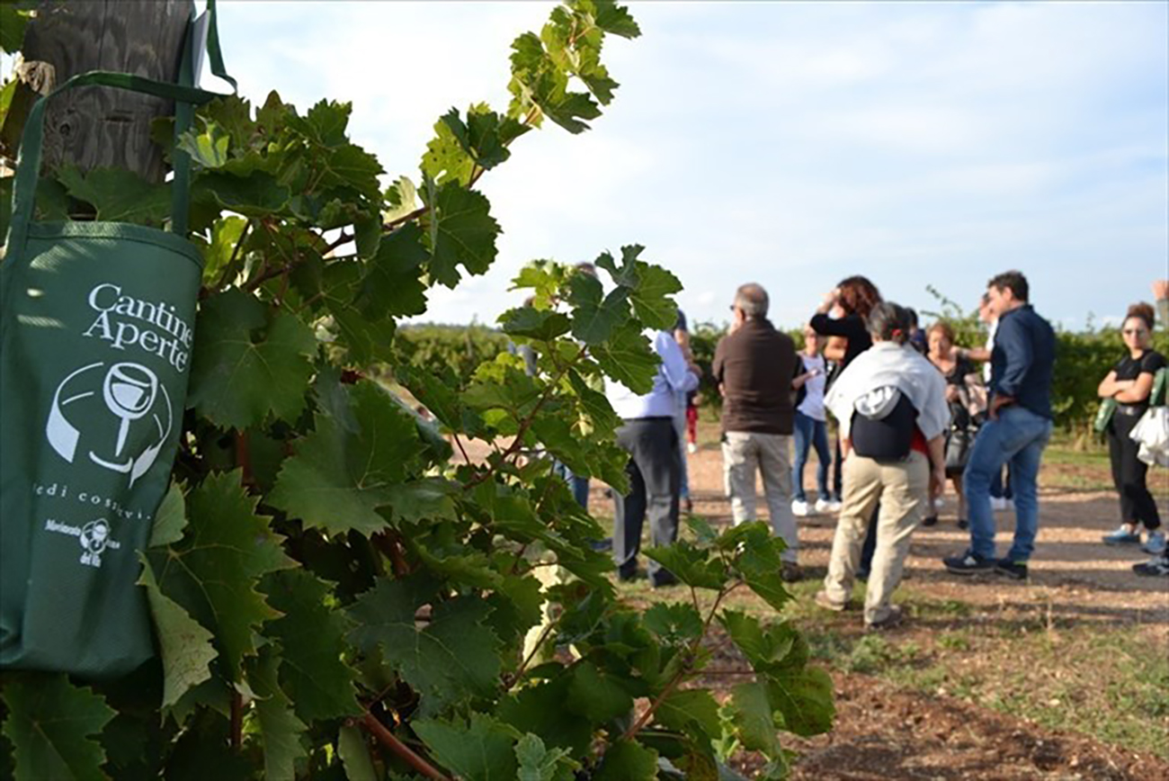 Torna “Cantine Aperte in Vendemmia”: Torrevento apre le porte agli enoappassionati