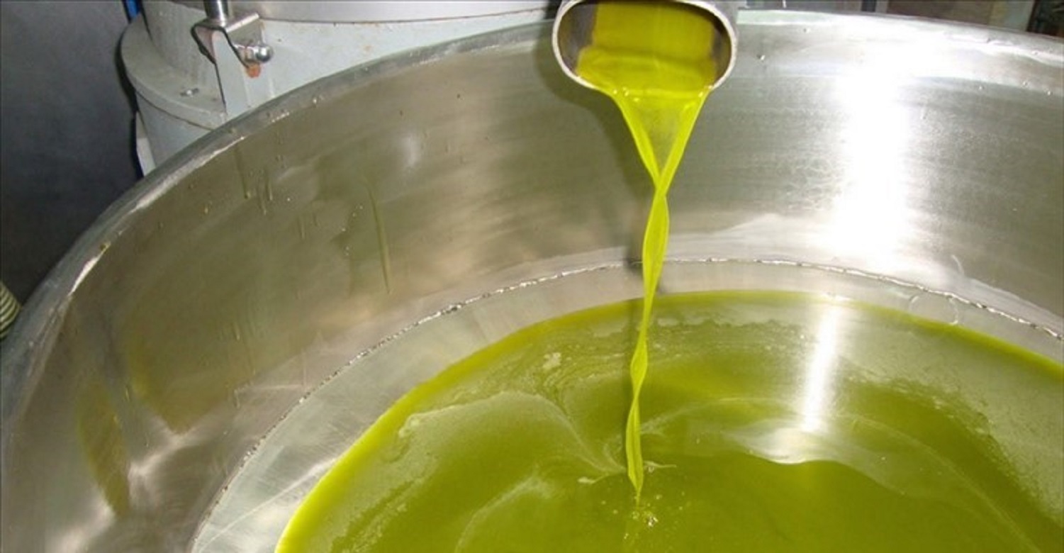Italia Olivicola: «Più vigilanza e comunicazione per difendere l’olio extravergine di oliva italiano a scaffale»