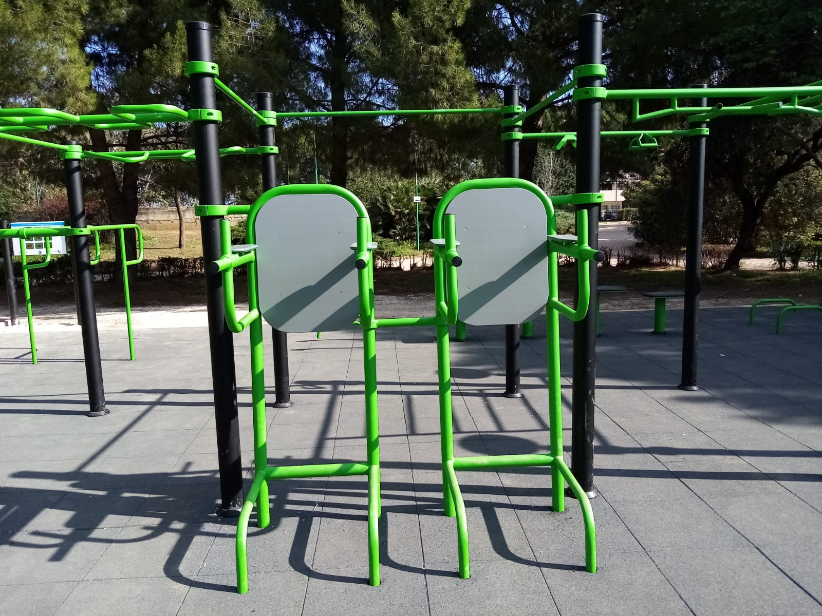 Palestra nel Parco, FdI: “Progetto dell’amministrazione Gemmato”